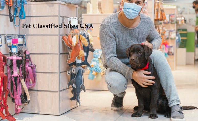 Pet classified ads Sites for buying & selling pets USA-1